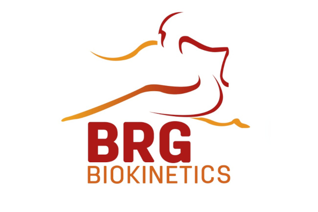 BRG Logo